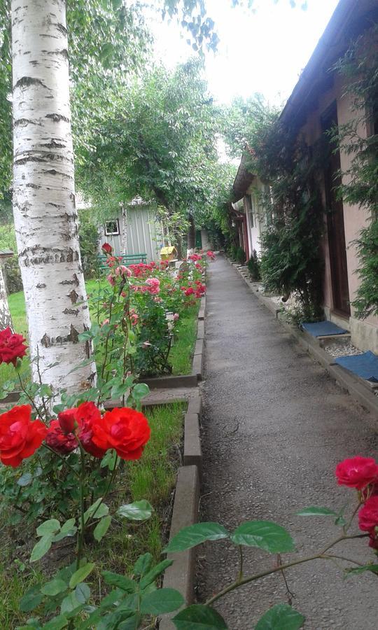 Camping Paradisul Soferilor Onesti Habitación foto